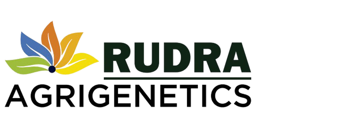 Rudra Agri Groups