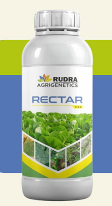 RECTAR PRO