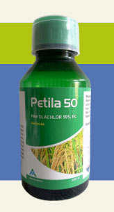PETILA 50