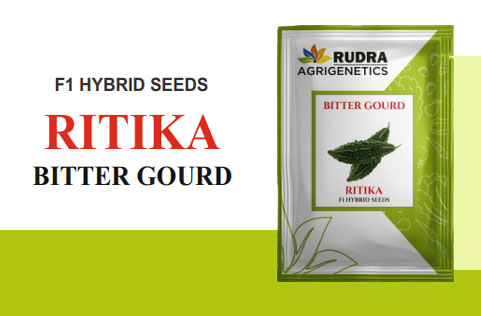 RITIKA BITTER GOURD