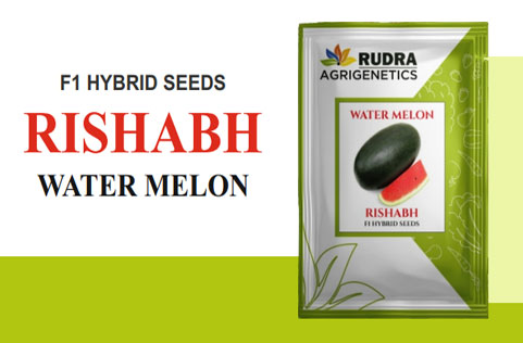 RISHABH WATER MELON