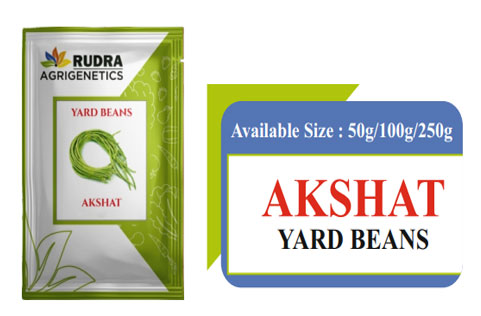 AKSHAT YARD BEANS