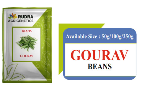GOURAV  BEANS