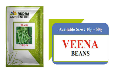 VEENA BEANS