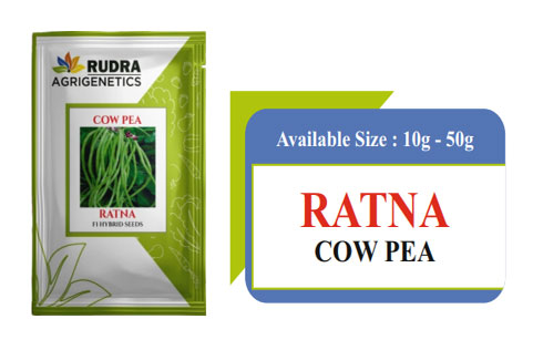 RATNA COW PEA