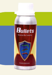 BULLETS