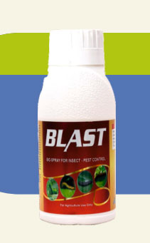 BLAST
