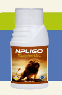 NPLIGO
