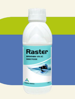 RASTER