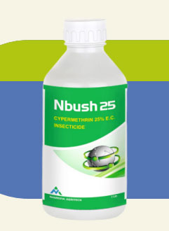 NBUSH 25