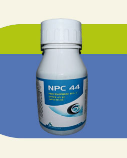 NPC 44