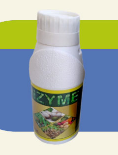 NZYME