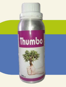THUMBO