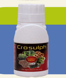 CROSULPH